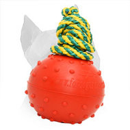 Durable Rubber Amstaff Water Ball for Training - Medium