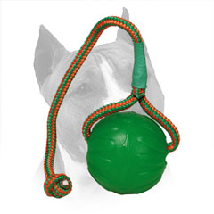 Ball Rubber Amstaff Nylon Rope