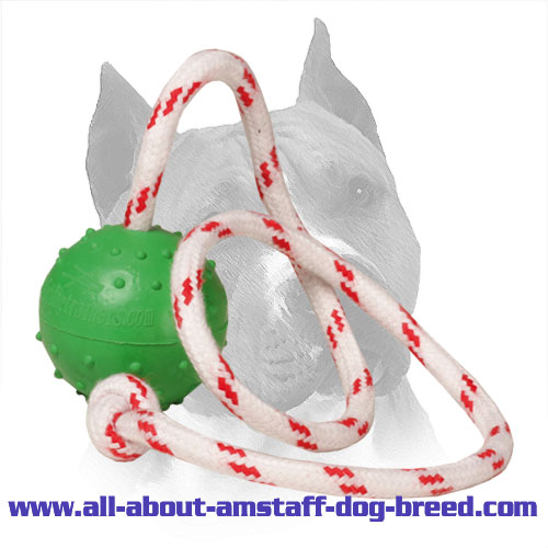 Buy Unsinkable Bright Rubber Dog Training Ball