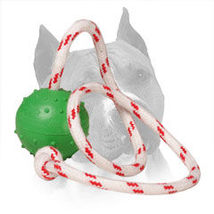 Rubber Training Amstaff Ball Nylon String