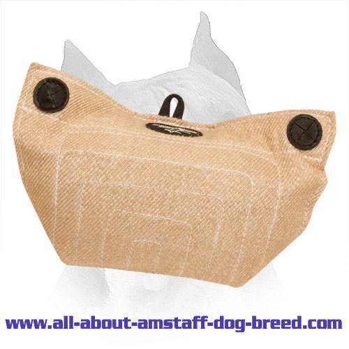 Amstaff Jute Bite Builder for Basic Puppy Training