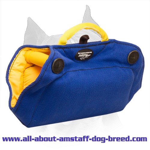 French Linen Bite Developer for Amstaff Puppy Angle Perfection
