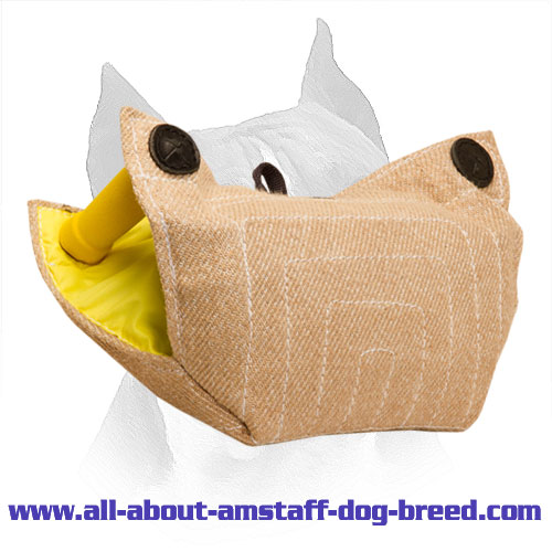 Amstaff Jute Bite Developer with Padded Inside Handles