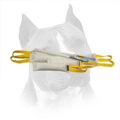 Amstaff Fire Hose Bite Set with Stitched Nylon Handles