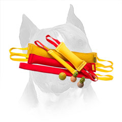 French Linen Bite Training Set For Amstaff Retrieve Exercising