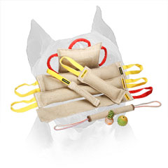 Amstaff Jute Bite Training Set with Rubber Gifts