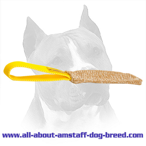Bite Amstaff Tug Jute For Puppy Training
