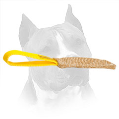 Bite Amstaff Tug Jute For Puppy Training