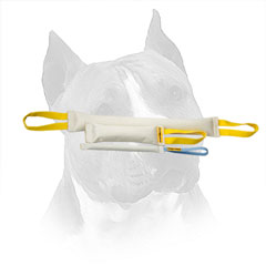 Fire Hose Bite Tug Set for Amstaff Retrieve Training