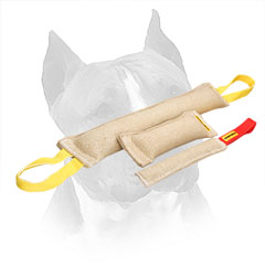 Amstaff Jute Bite Tug Set for Prey Drive Training
