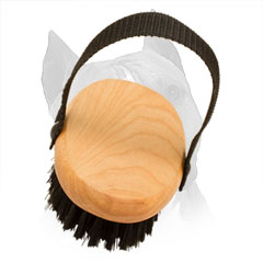 Bristle Amstaff Brush With Nylon Handle