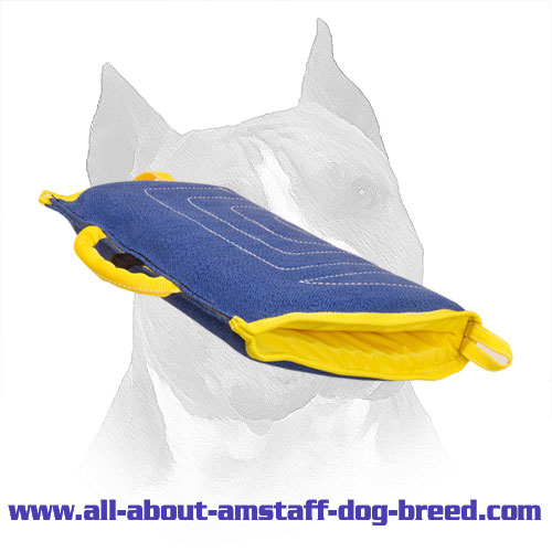 Sleeve Puppy Amstaff Ambidextrous French Linen