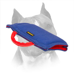 Amstaff Sleeve Puppy Basic Bite Training
