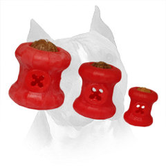 Toys Foam Amstaff Meal Holes