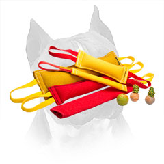 French Linen Training Set For Amstaff Bite Skills Improvement