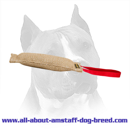 Amstaff Jute Training Tag Manually Stitched Edges