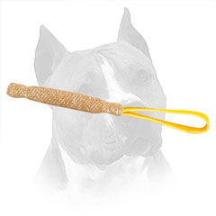 Training Jute Amstaff Tag With Nylon Handle