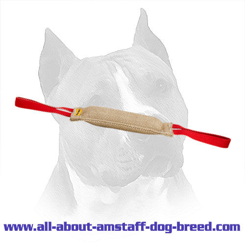 Amstaff Jute Training Tug Stitched With Nylon Thread