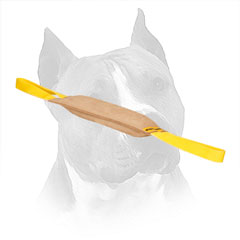 Amstaff Leather Training Tug for Bite Improving
