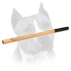 Bamboo Amstaff Stick Training With Covered Handle
