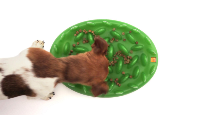 Get Plastic Interactive Amstaff Feeder Grass Shaped