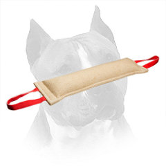 Jute Training Amstaff Tug With Stitched Edges