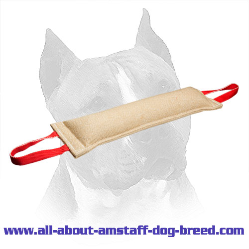Jute Training Amstaff Tug With Stitched Edges