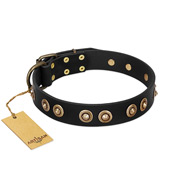 "Golden Artifact" FDT Artisan Black Leather Amstaff Collar with Old-bronze Covered Medallions