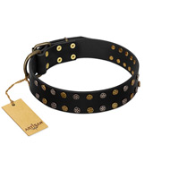 "Star Way" FDT Artisan Black Leather Amstaff Collar with Bronze-like and Silver-like Star Studs