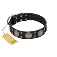 "Sun in Shining" Modern FDT Artisan Black Leather Amstaff Collar with Studs and Stars