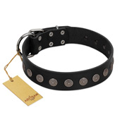 "Silent Star" Handmade FDT Artisan Designer Black Leather Amstaff Collar with Engraved Plates