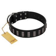 "Black Prince" Handmade FDT Artisan Black Leather Amstaff Collar with Silver-Like Adornments