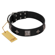 "Black Cavalier" Handmade FDT Artisan Black Leather Amstaff Collar with Silver-Like Stars and Large Plates