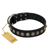 "Black Eagle" Handcrafted FDT Artisan Black Leather Amstaff Collar with Silver-Like Adornments
