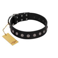 "Silver Flower" Exclusive FDT Artisan Black Leather Amstaff Collar with Silver-Like Studs
