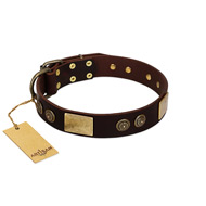 "Bow-Wow Effect" FDT Artisan Brown Leather Amstaff Collar with Plates and Ornate Studs