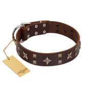 "Stars in Sands" Modern FDT Artisan Brown Leather Amstaff Collar with Studs and Stars