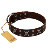 "Menacing Allure" FDT Artisan Brown Leather Amstaff Collar Embellished with Silvery Crossbones and Square Studs