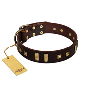 "Choco Delight" FDT Artisan Brown Leather Amstaff Collar with Old Bronze-like Plates and Studs