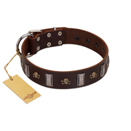 "War Chief" FDT Artisan Genuine Brown Leather Amstaff Collar with Skulls and Plates