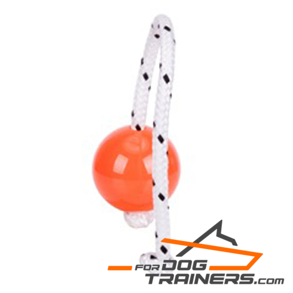 Dog training ball to have fun