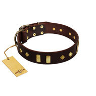 "Blinking Illusion" FDT Artisan Brown Leather Amstaff Collar with Old Bronze-like Studs and Plates
