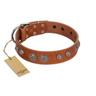 "Era Infinitum" FDT Artisan Tan Leather Amstaff Collar Adorned with Chrome-plated Circles