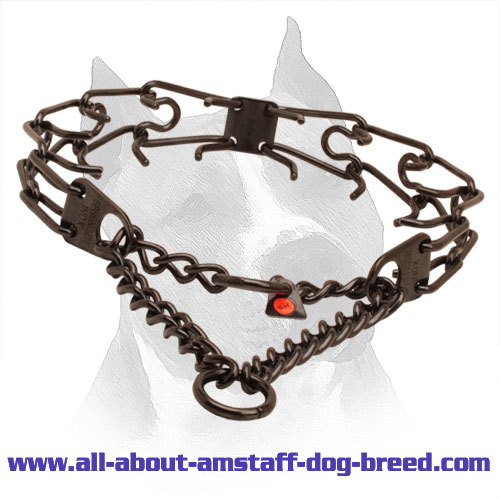 Black Pinch Dog Collar Made of Stainless Steel