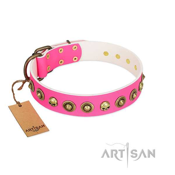 Top notch natural leather dog collar with rust resistant studs