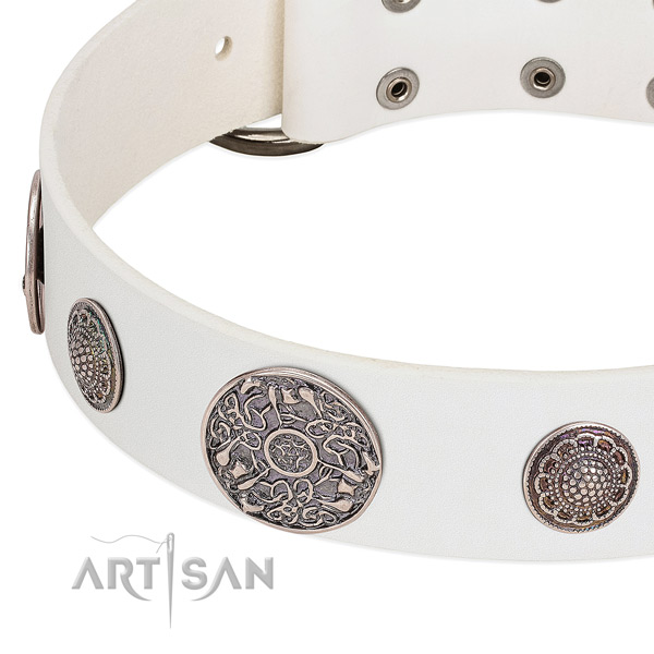 Durable fittings on genuine leather dog collar