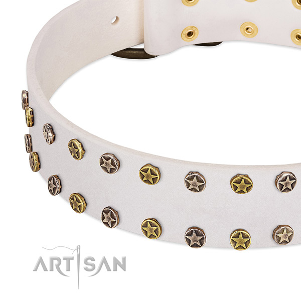 Awesome adornments on genuine leather collar for your canine