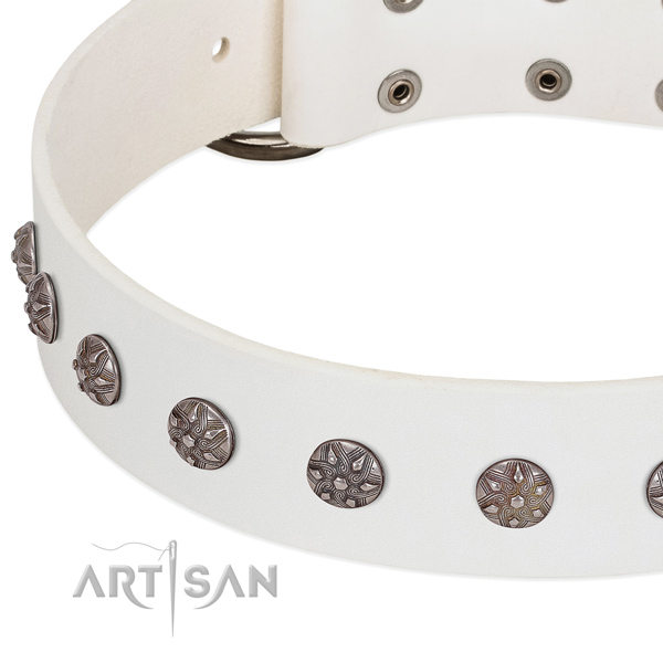 Best quality natural leather dog collar with studs for your four-legged friend