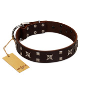 "Bigwig Woof" FDT Artisan Brown Leather Amstaff Collar with Chrome Plated Stars and Square Studs