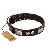 "Baller Status" FDT Artisan Brown Leather Amstaff Collar Adorned with a Set of Chrome Plated Studs and Plates